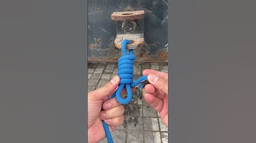 Ancient famous knot