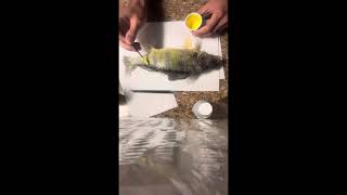 How to hand paint a fish - Perch Taxidermy