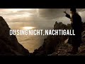 Maxim Troschin -  Du sing nicht, Nachtigall