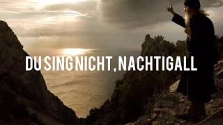 Maxim Troschin -  Du sing nicht, Nachtigall