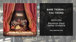 Vignette de la vidéo "Barcelona Gipsy balKan Orchestra - Nane Tsokha Fuli Tschai (Official Audio)"