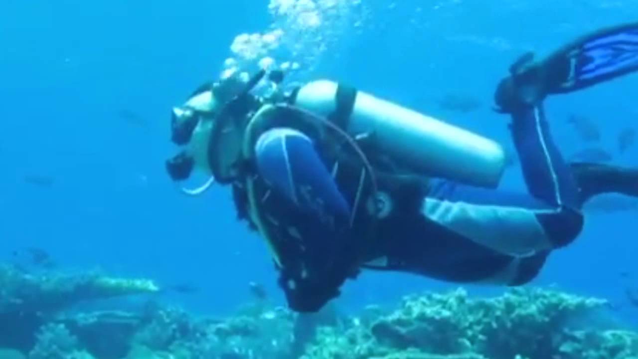 Ambon nusalaut ameth