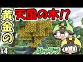 【ふっクラ】#4　黄金に輝く天国の木！？　～夫婦で天国生活～【マイクラ】【夫婦実況】【マインクラフト】