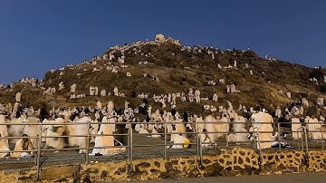 Muslim pilgrims gather at Mount Arafat on the second day of Hajj