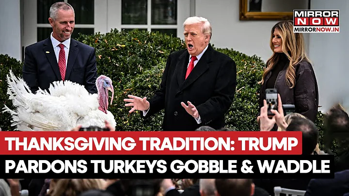 Trump Pardons Turkeys, Gobble, Waddle Ahead Of Thanksgiving At White House | Watch