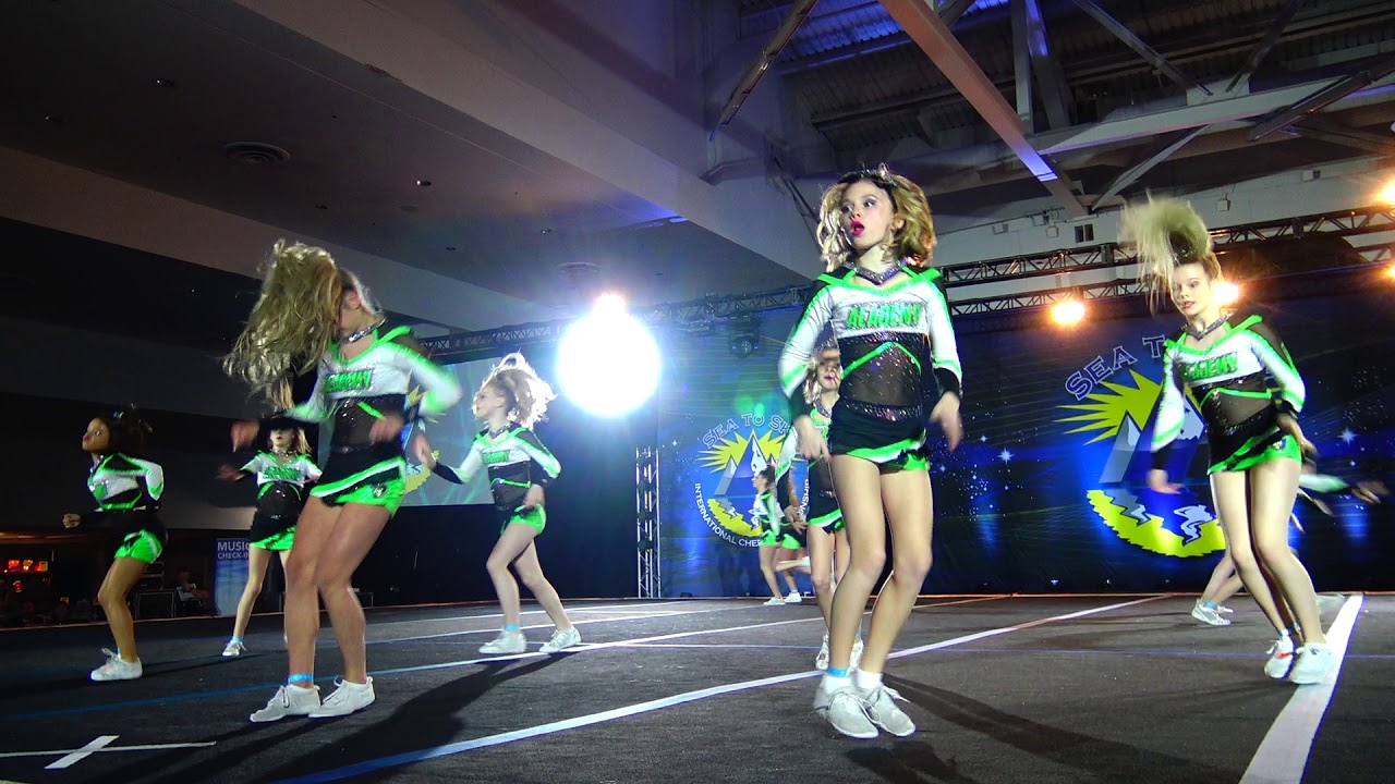 Academy of Cheer Excellence: J3 Scorpions
