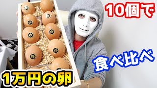 【食べ比べ】世界一高い１万円の卵VS１個２０円の卵が同じ味！？【Raphael】