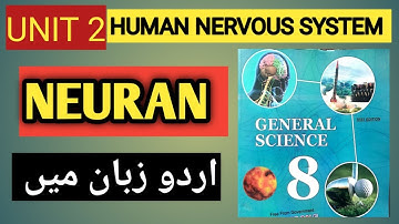 class 8 science unit 2 Human nervous system || in urdu || Neuron