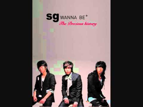 (+) SG 워너비(SG Wannabe)- 비익조