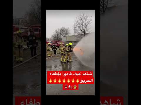 اطفاء الحريق الصين Shorts 