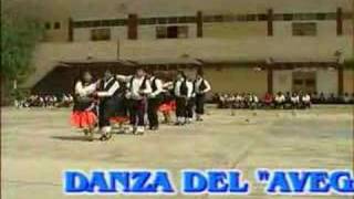 el zorro negro el zorro negro