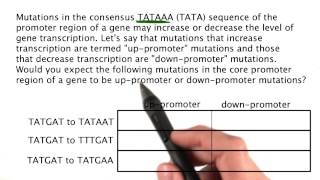 Problem 02 - Tales from the Genome