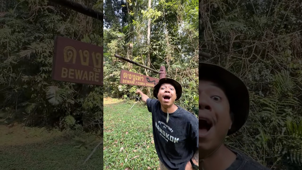 ไหนงูเห่า