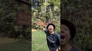 ไหนงูเห่า