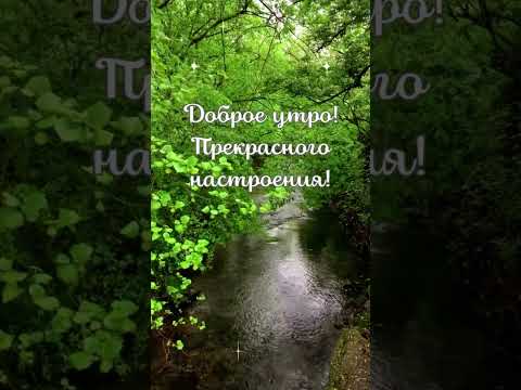 Природное доброе настроение и утро! #доброеутро #слайдшоу