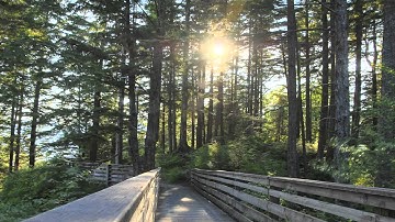 Looking to the Sun Christian Silent Video