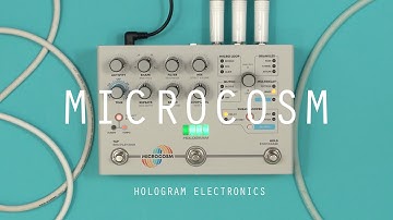 Hologram Electronics Microcosm - Quick Reference Guide