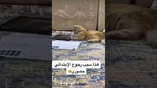 سبب رجوع الابتدائي حضوري