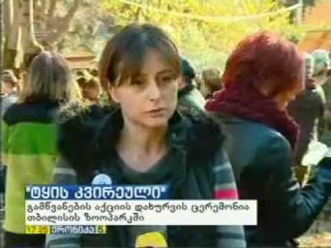 MOE: თბილისის ზოოპარკში \"ტყის კვირეულის\" დახურვის ცერემონია გაიმართა