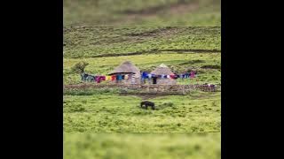 POHO LIMATLA NO4 KEKETSO MATHULA [TRACK 03]