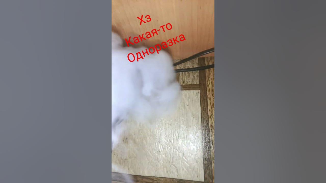 подики - YouTube