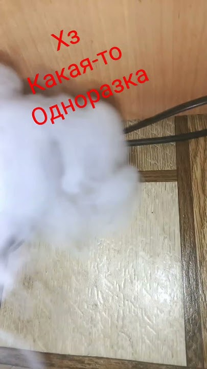 подики - YouTube