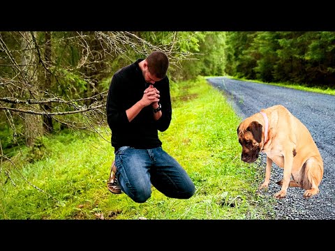 Video: Taman Leash Ramah Anjing di Area Orlando