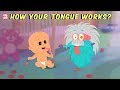How your tongue works  the dr binocs show  best learnings for kids  peekaboo kidz