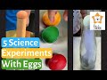 5 COOL SCIENCE EXPERIMENTS WITH EGGS You Can Do With Kids | Easy Experiments With Eggs |Kids Science