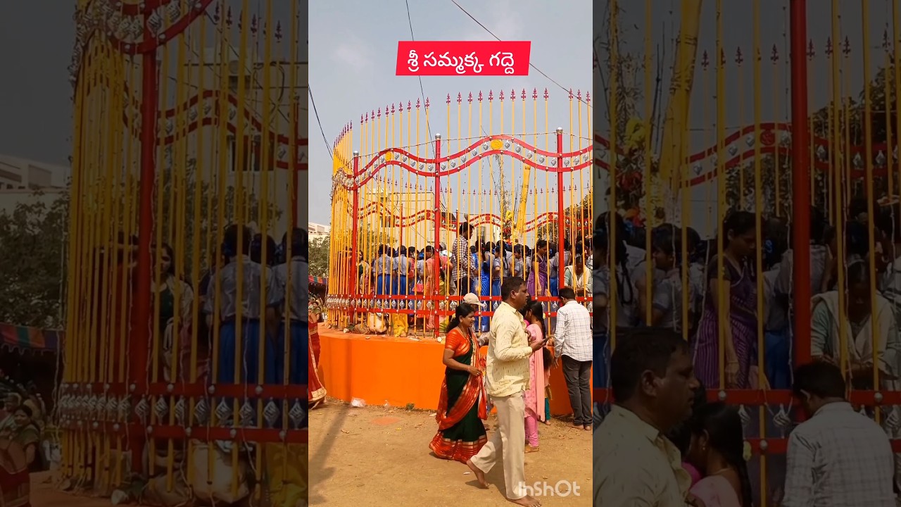 #శ్రీ సమ్మక్క సారలమ్మ దేవాలయం #ameenpur #telangana#2026 #devotional #sammakkasaralammajatara