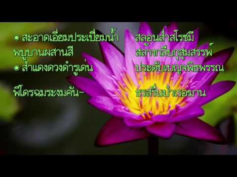 การอ่านภุชงคประยาตฉันท์ ๑๒ อ.วัฒนา ขัตติยโภคิน ( ครูหนูนา ) | ข้อมูลล่าสุดเกี่ยวกับภุชงคประยาต ฉันท์ ๑๒