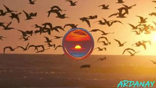 Lanet olsun - Çoban Ali