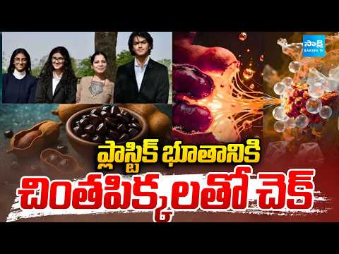 మైక్రోప్లాస్టిక్ భూతానికి చెక్: Tamarind Seed Powder Remove 90% of Microplastics from Water - SAKSHITV