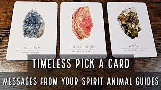 Pick A Card Reading (Timeless): Message from Your Animal Spirit Guides 🔮