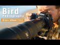 NIKON Z 400mm f/4.5 - Photographing birds in flight with 1.4x teleconverter
