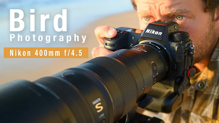 NIKON Z 400mm f/4.5 - Photographing birds in flight with 1.4x teleconverter - DayDayNews