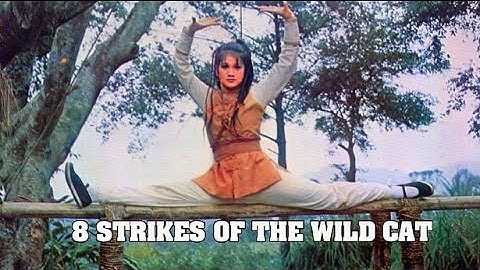 Wu Tang Collection - Eight Strikes Of The Wild Cat