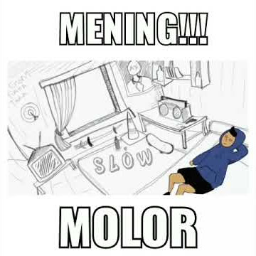 Mening molor