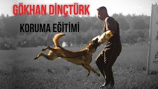 Köpeklerde Koruma Eğitimi - 1. Bölüm