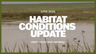 June 2026 Waterfowl Breeding Habitat Conditions Update