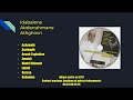 Idhebalen abderrahmane athghovri album 2017  piste 3