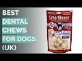 🌵 10 Best Dental Chews for Dogs