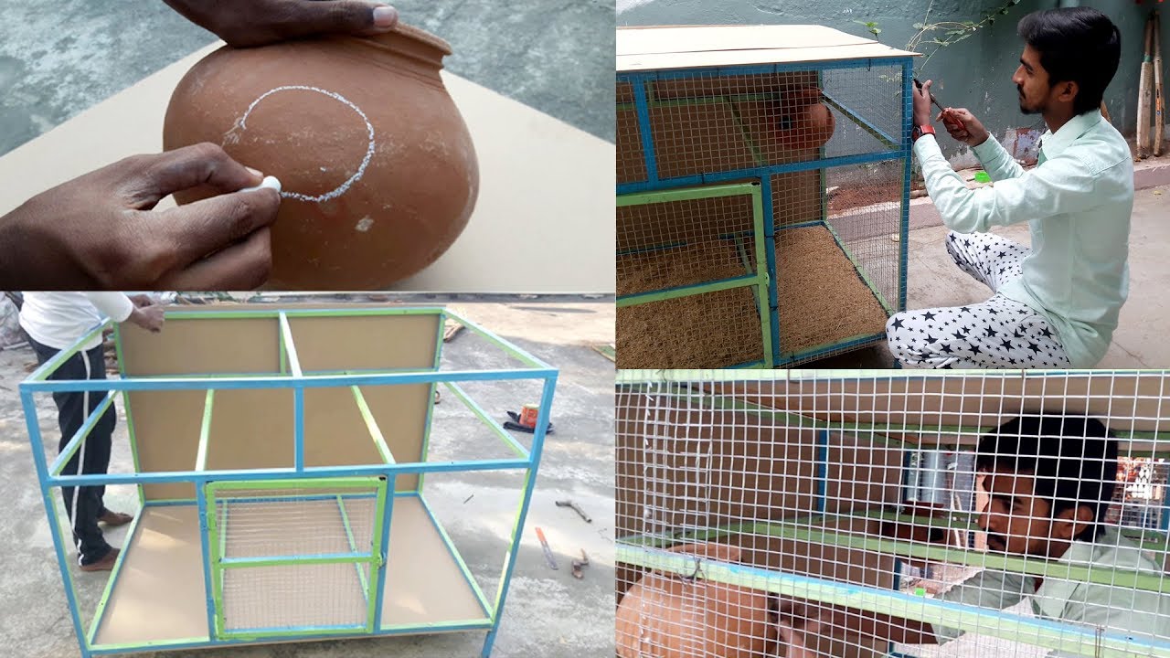 How To Make Love Birds Cage At Home Love Birds House ...