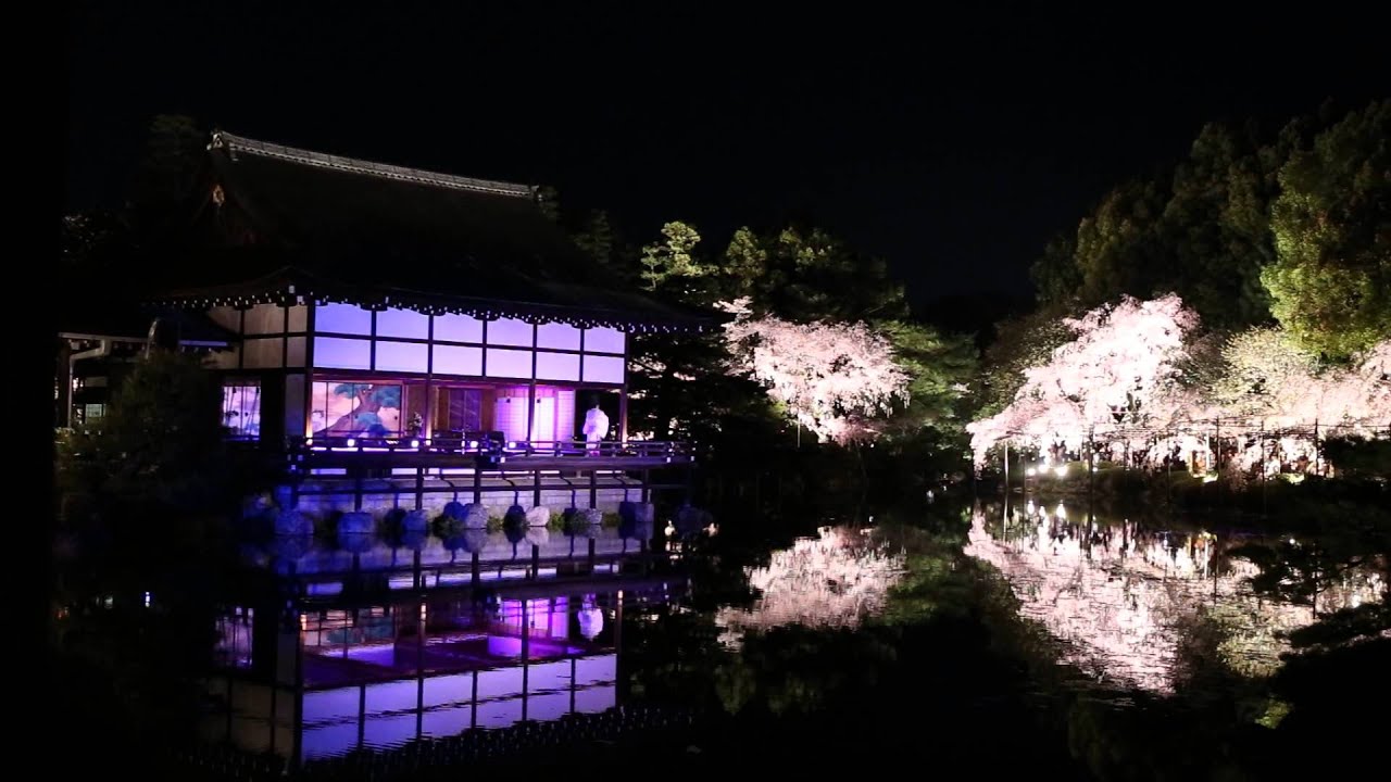 平安神宮 紅しだれコンサート 14 ハナミズキ By Hideki Togi Night Sakura Concert At Heian Shrine Kyoto Youtube