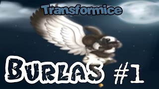 Transformice - Burlas sala normal | Ylir ft. Xsentx [HD]