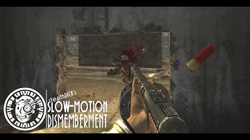 Fallout New Vegas Mods: Slow-Motion Dismemberment Demo