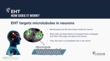 Nerium EHT   How It Works with PP2A Best Natural Brain Supplement
