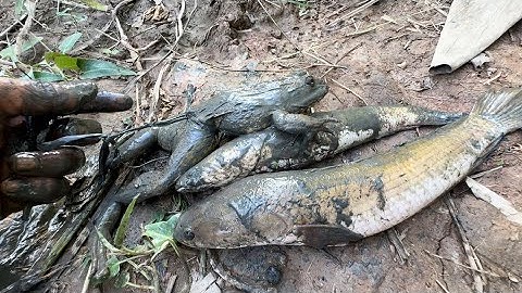 Bắt Cá Cạn Trong Hang - TT2297