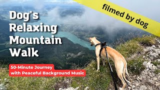 Relaxing music 🎵 & Dog with camera in the Mountains: Beautiful Mountain Walk video 🎥 from Schafberg by One Dog Show 160 views 9 months ago 50 minutes