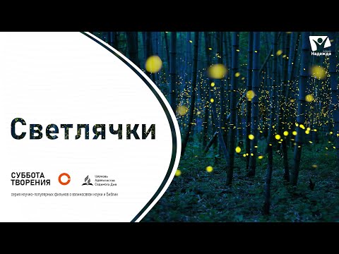 Фантастические светлячки. ПОЧЕМУ СВЕТЛЯЧКИ СВЕТЯТСЯ ?  |  Чудо жизни на Земле! Незабываемое зрелище!